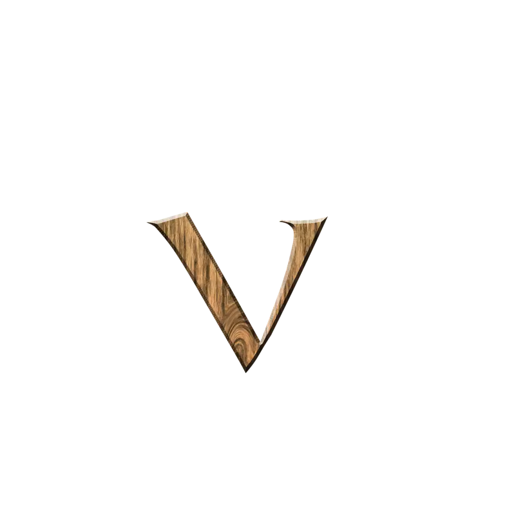 Společnost V Likvidaci