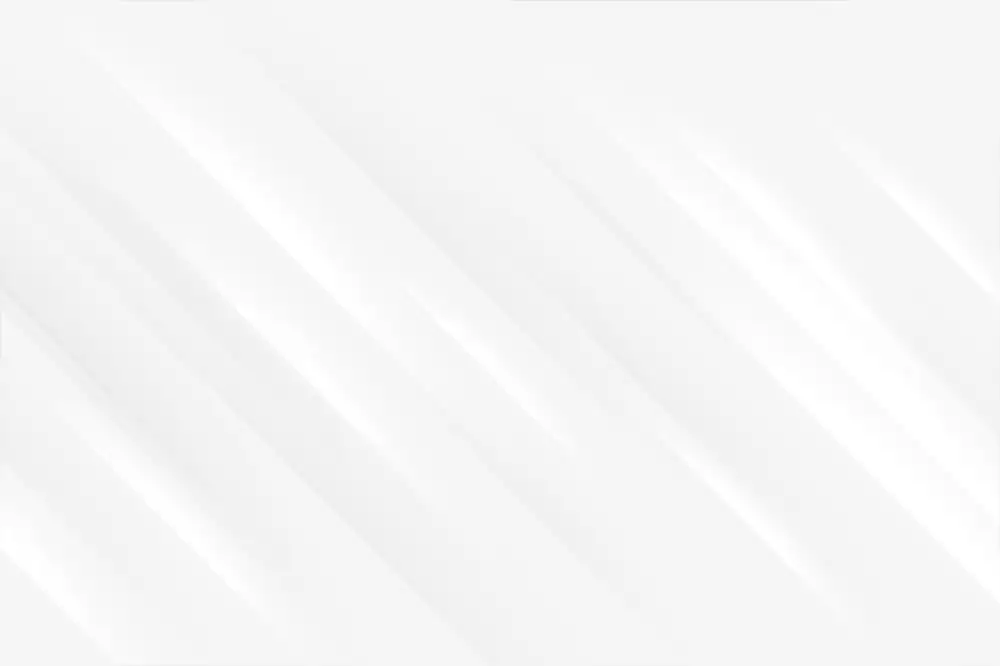 nevyčerpaná dovolená 2025